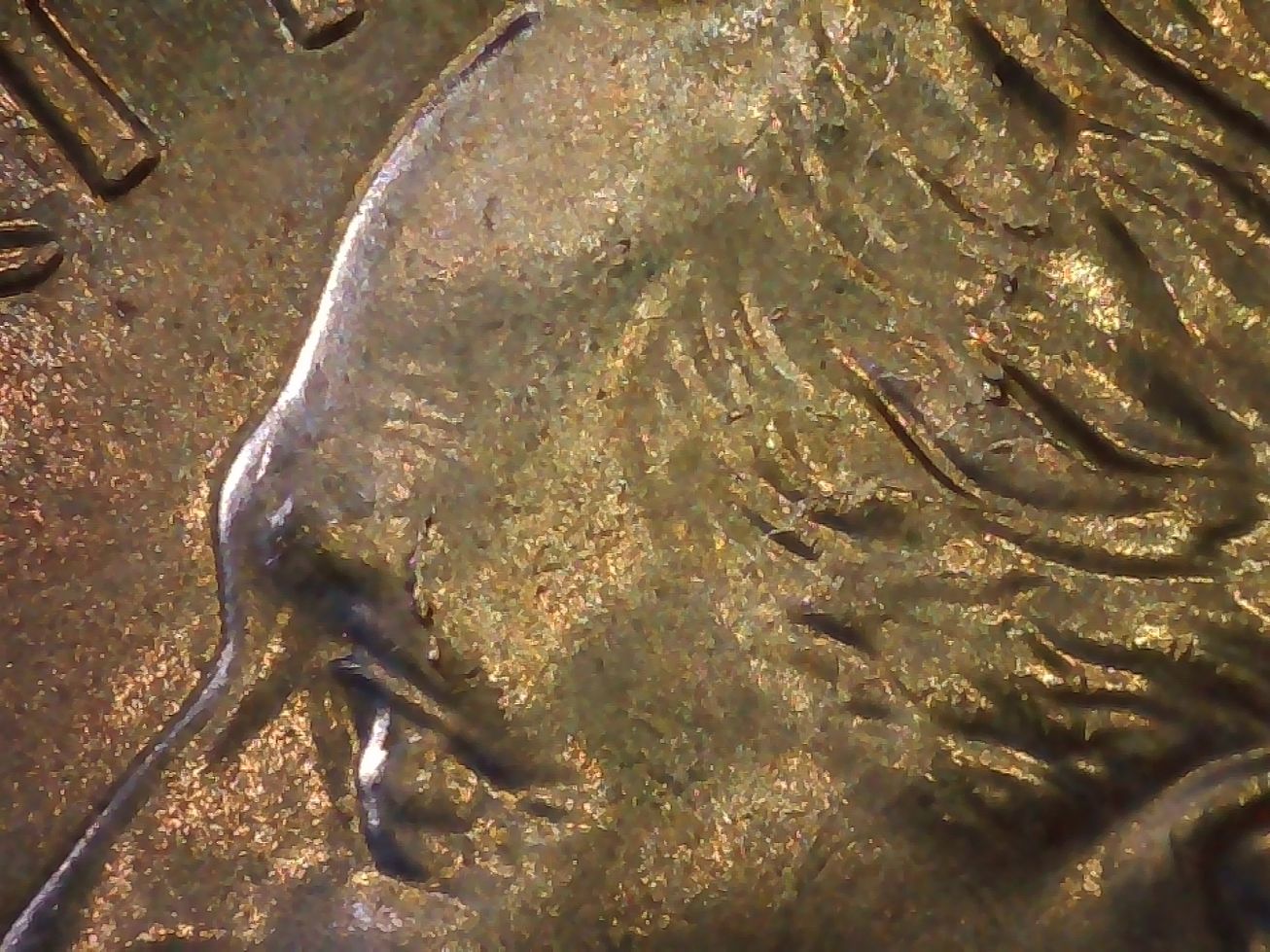 2021-Dime,-Whats-Going-On?